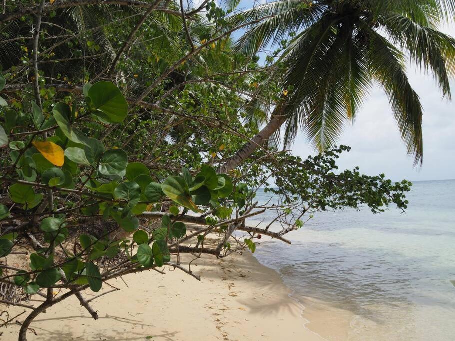 La Ruche De Maia - Blue Dream Beach - Piscine - Jardin - Plage Grand-Bourg  Экстерьер фото