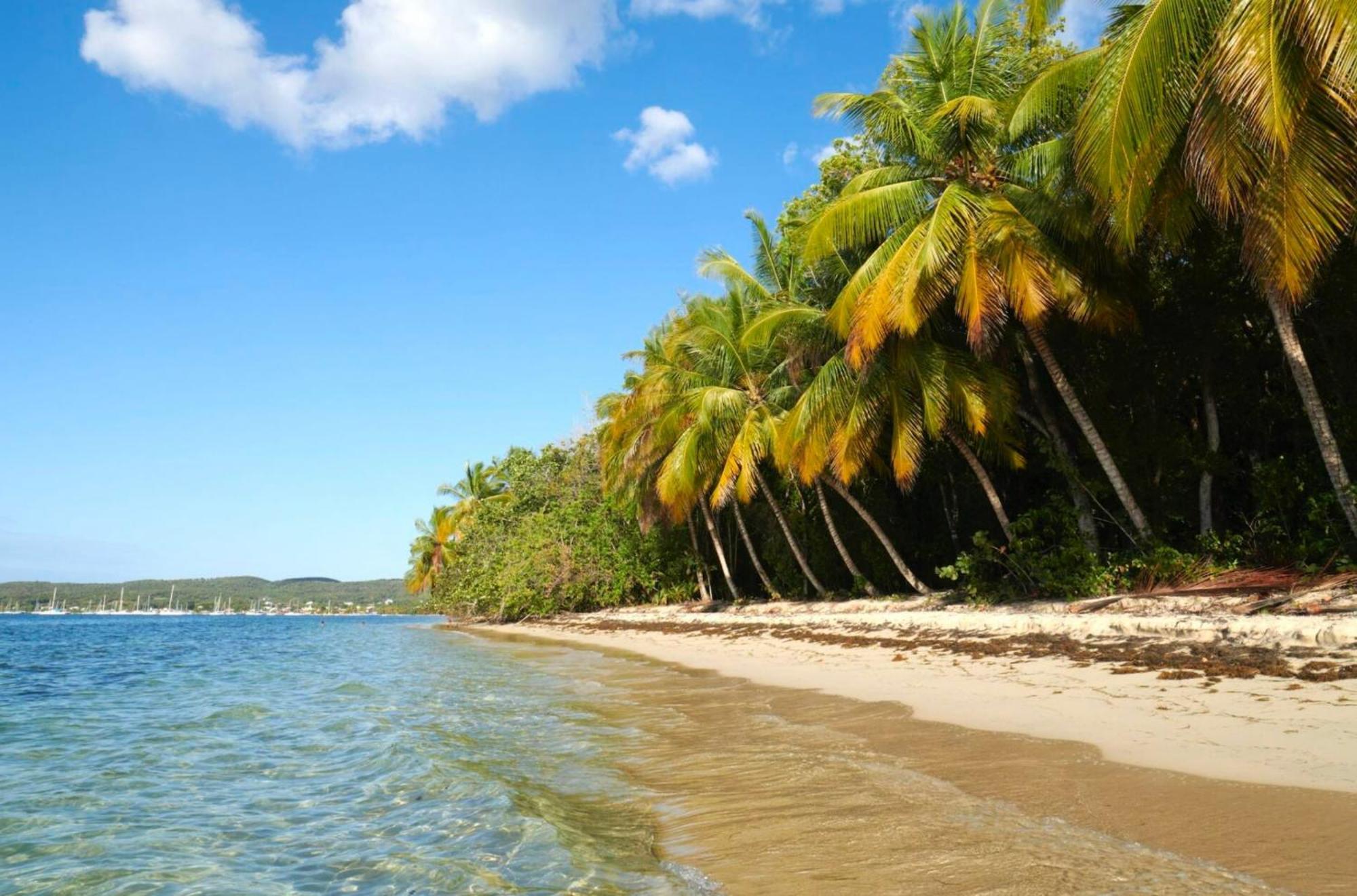 La Ruche De Maia - Blue Dream Beach - Piscine - Jardin - Plage Grand-Bourg  Экстерьер фото