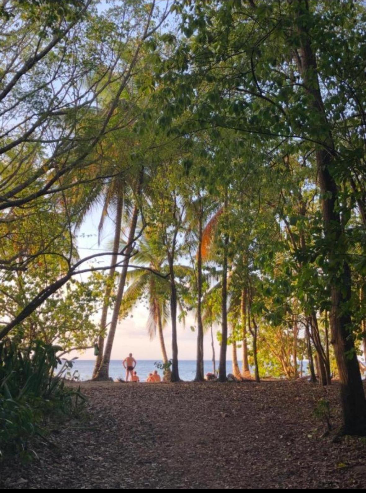 La Ruche De Maia - Blue Dream Beach - Piscine - Jardin - Plage Grand-Bourg  Экстерьер фото