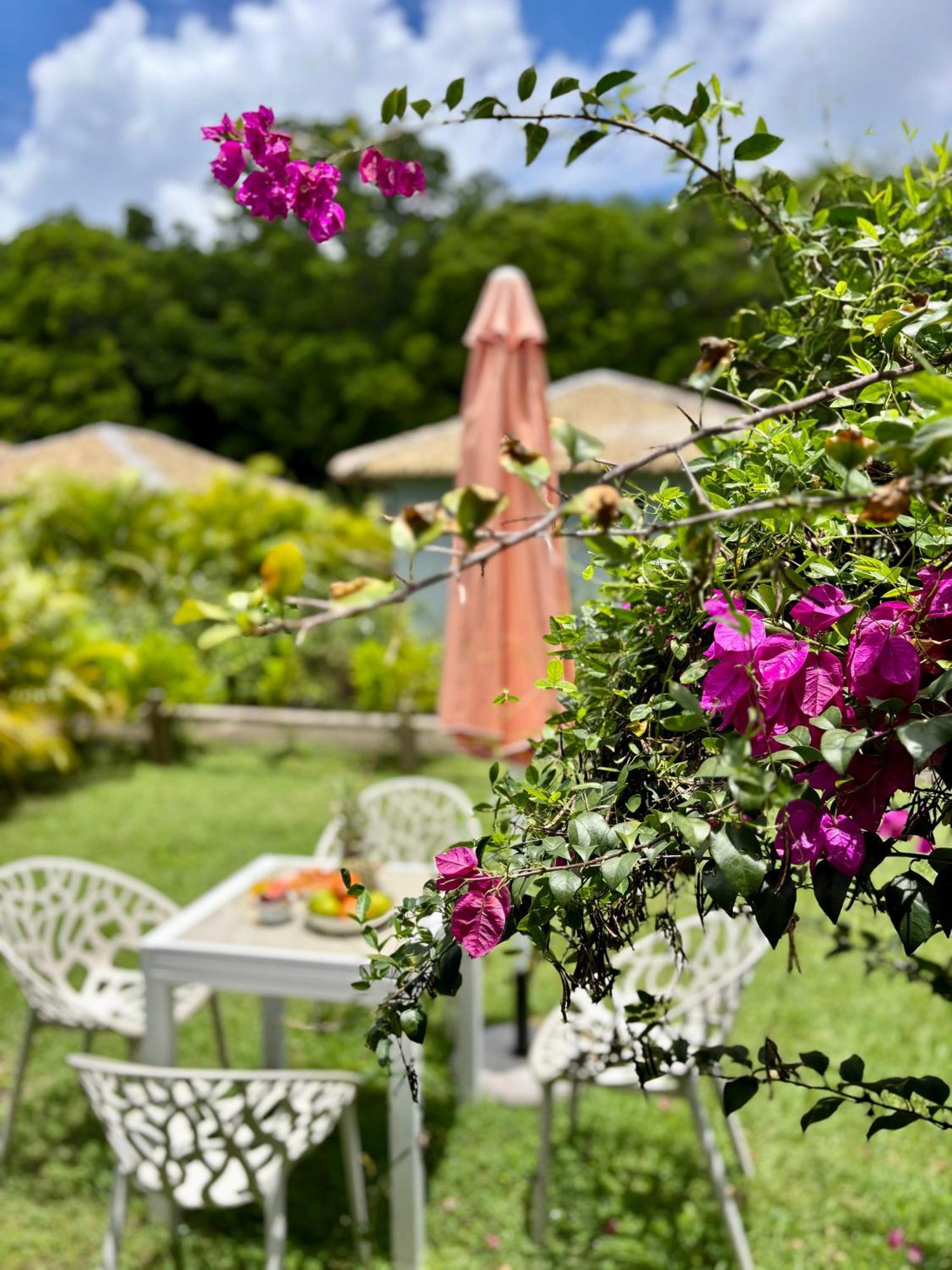 La Ruche De Maia - Blue Dream Beach - Piscine - Jardin - Plage Grand-Bourg  Экстерьер фото